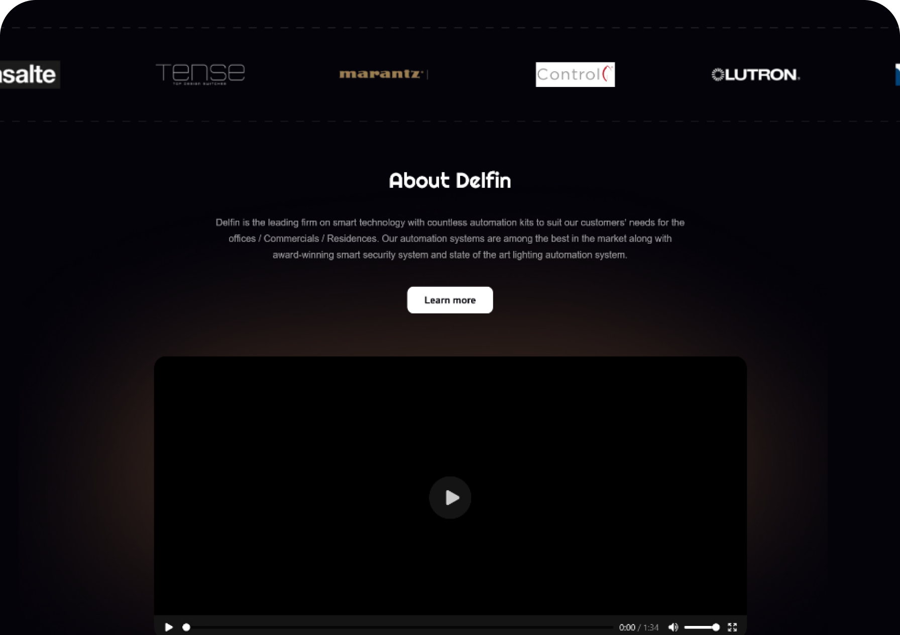 Delfin website